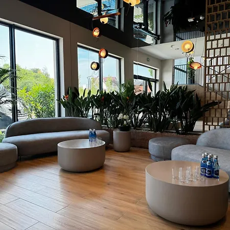 Anchoria Honest-serwis Mechelinki