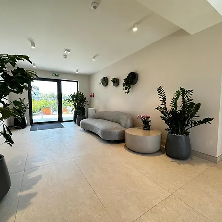 Anchoria Honest-serwis Mechelinki