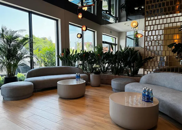 Anchoria Honest-serwis Mechelinki