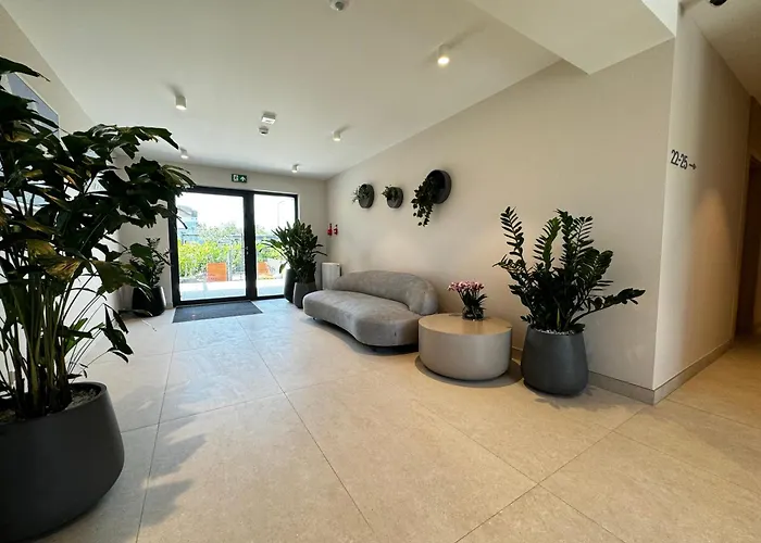 Anchoria Honest-serwis Mechelinki